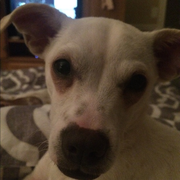 Meet your Posher, Micalynn - Picture 1 of 1